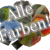 Crazy Zauberball Sockengarn Mit Farbverlauf - Schoppel Sockenwolle
