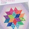 Tula Pink Nebula True Colors BOM Anleitungsbuch - Jaybird Quilts Block Des Monats - BOM Pattern
