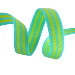 Lime And Turquoise Tula Pink Designer Webbing - Renaissance Ribbons 25mm Gurtband-Set - 1 Inch Striped Strapping - 2 Yards / 1,8m