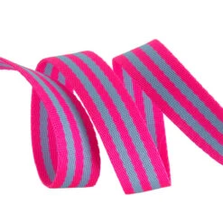 Aqua And Hot Pink Tula Pink Designer Webbing - Renaissance Ribbons 25mm Gurtband-Set - 1 Inch Striped Strapping - 2 Yards / 1,8m